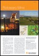 rotowaro-opencast-mine-tn
